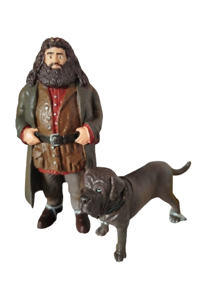 Harry Potter - Hagrid  y Fang