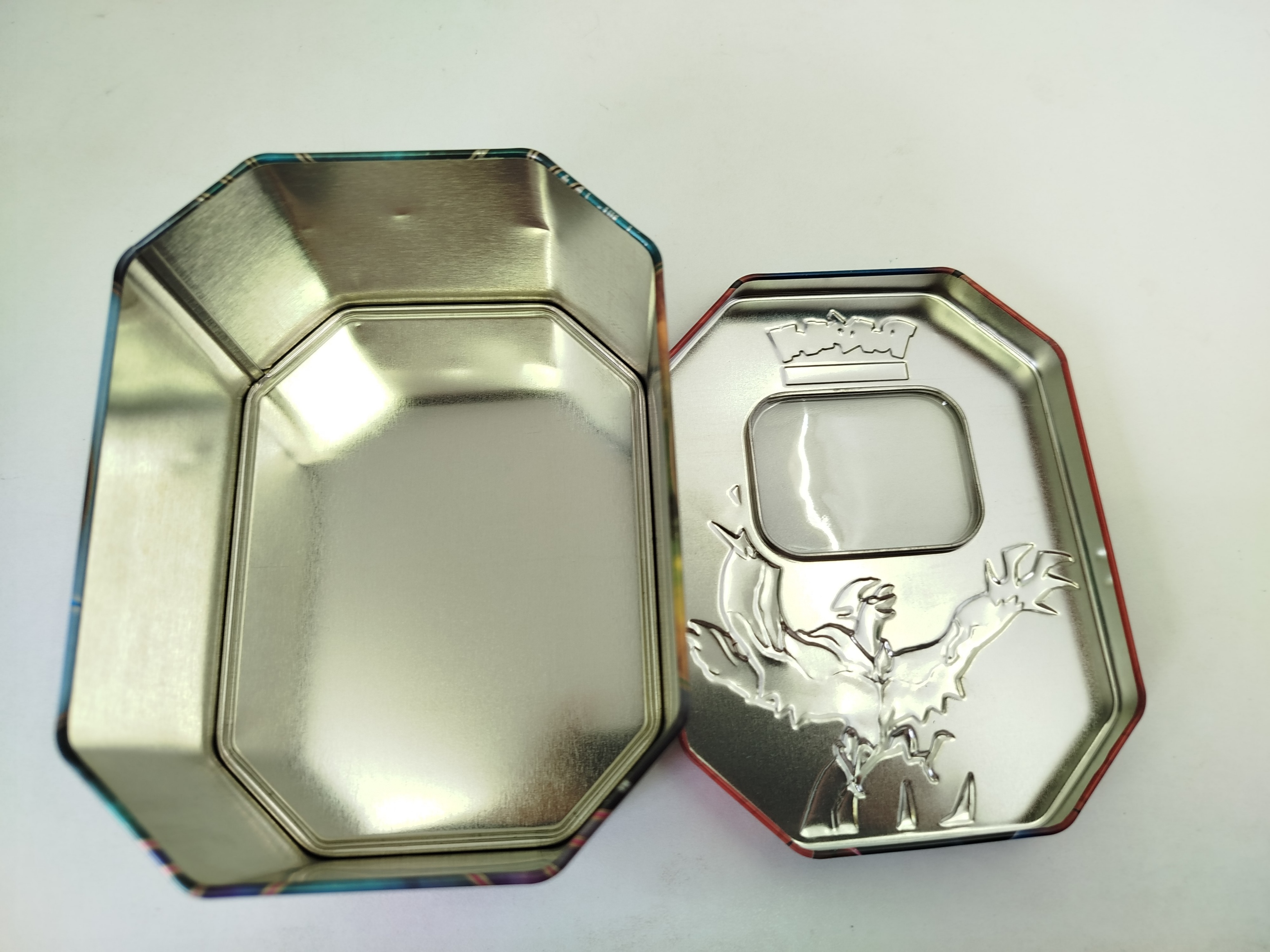  Pokemon - Lata metálica de Ferrocuello (Iron Thorns) y Ferropada (Iron Valiant) 