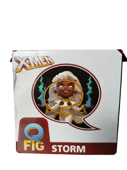 STORM (TORMENTA)